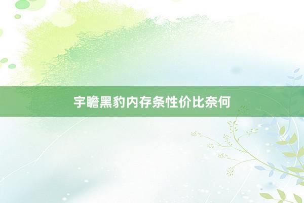 宇瞻黑豹内存条性价比奈何